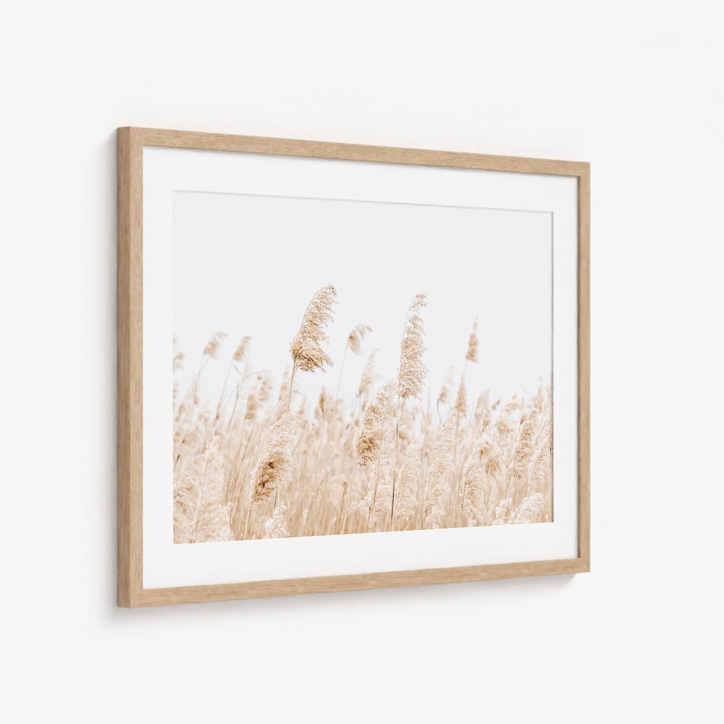 BEACH PAMPAS