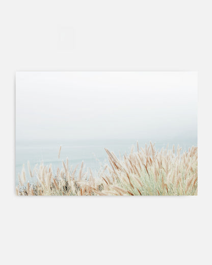 Coastal Grass - Neutral Photography Wall Art