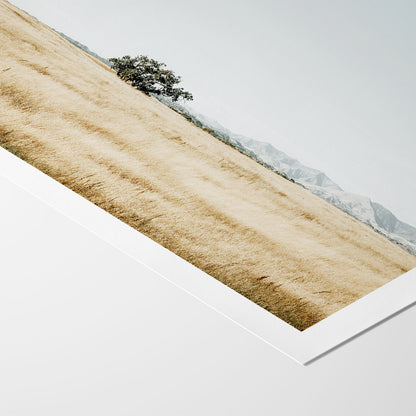 Quiet Prairie
