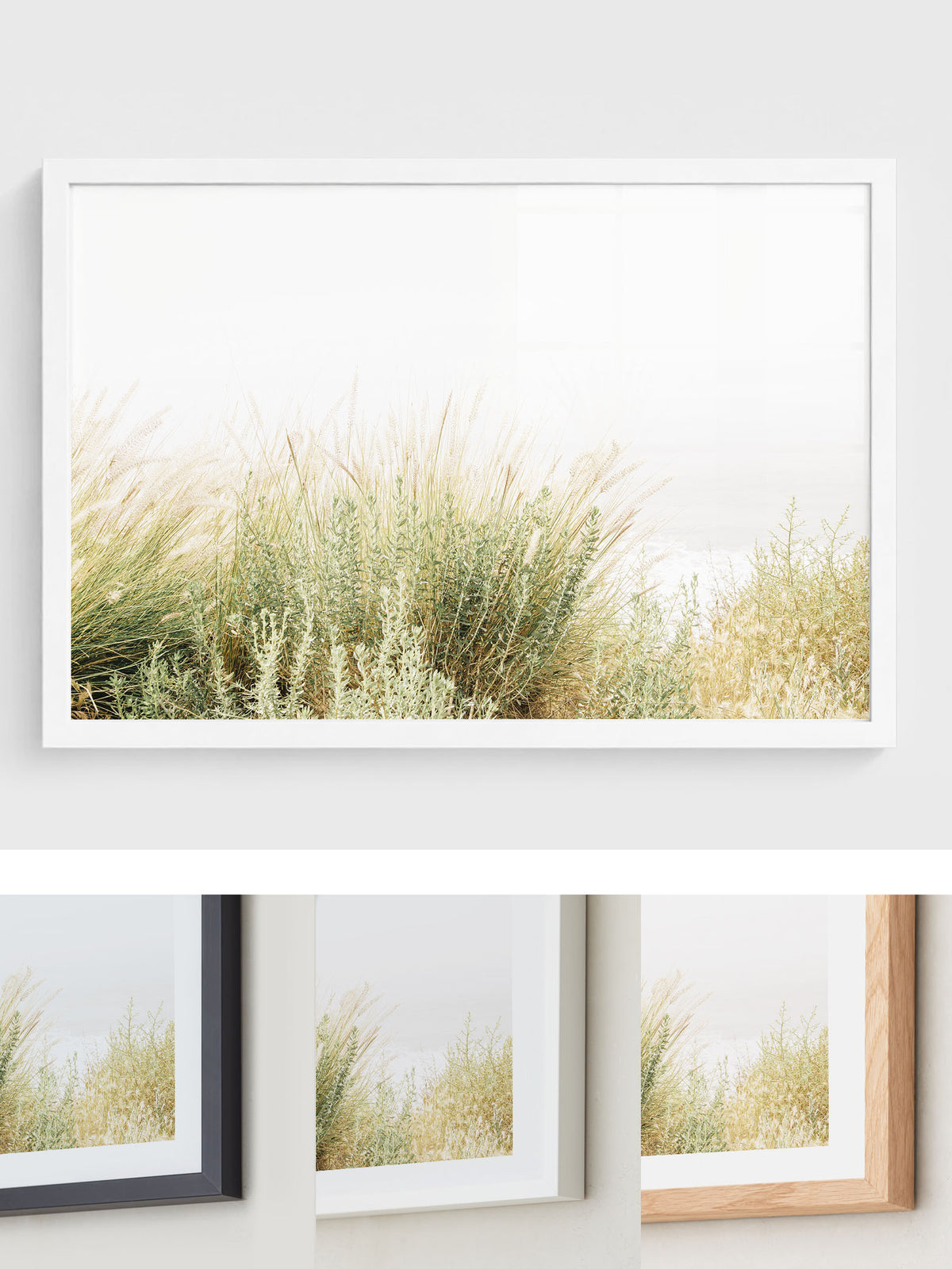 Wild Grasses