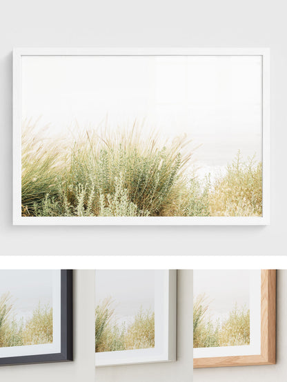 Wild Grasses
