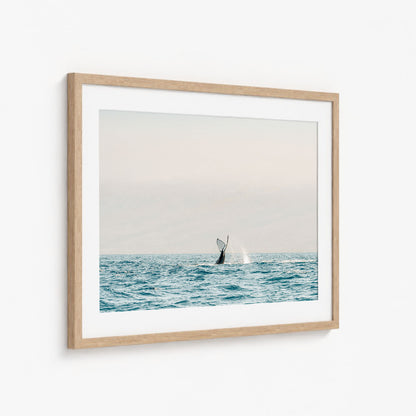 SEA GIANT