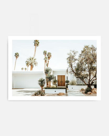 BROWN DOOR