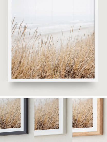 Grass by Sea