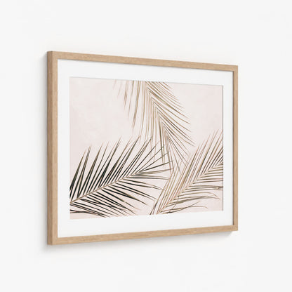 TROPICAL BLUSH