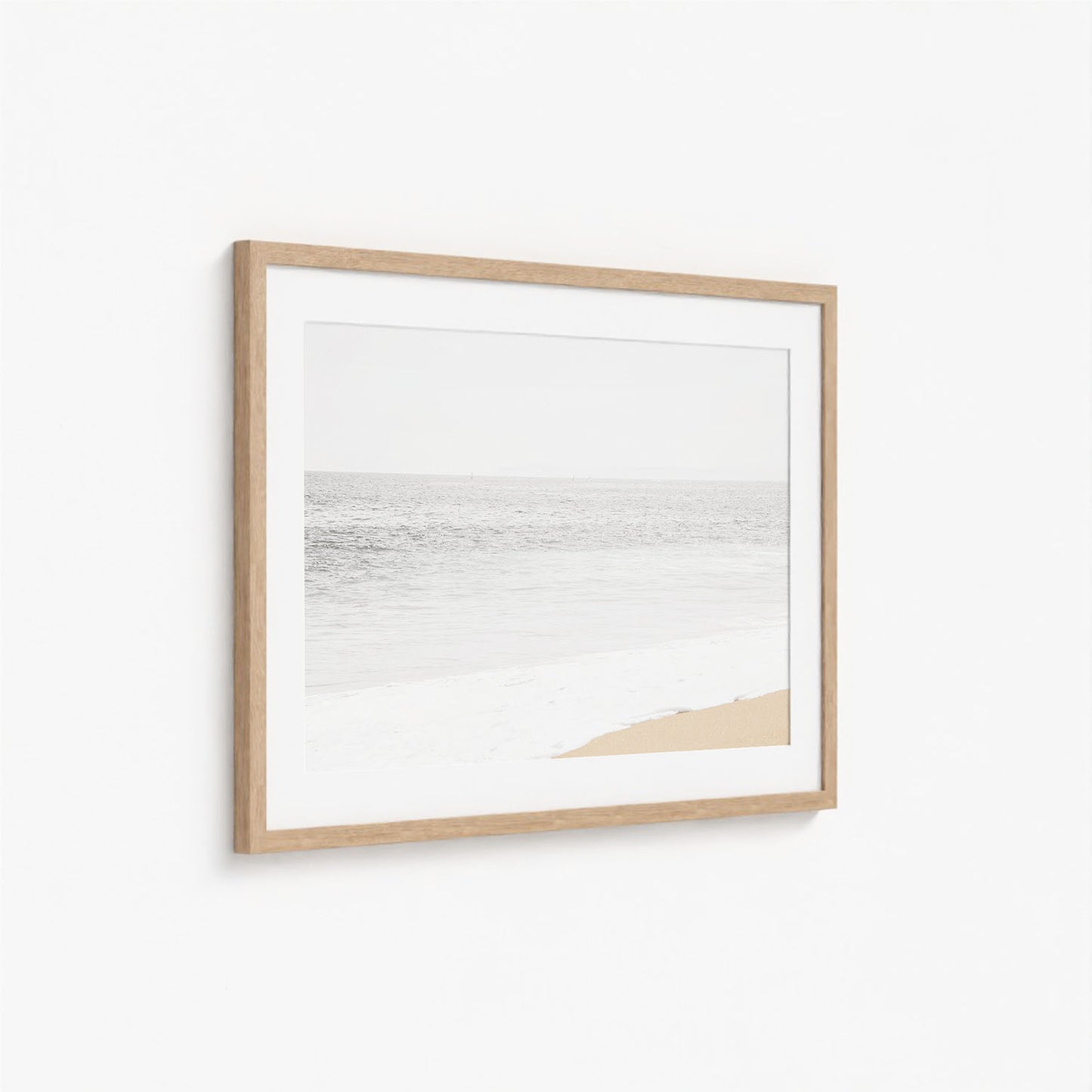 MUTED COAST