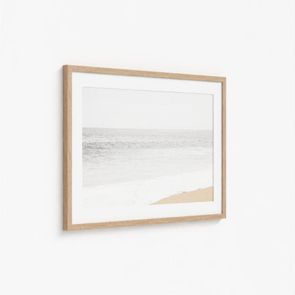 MUTED COAST