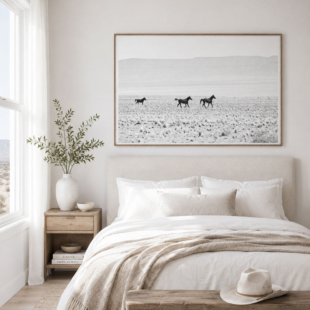 Wild Horses of the Desert