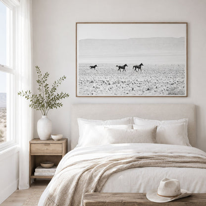 Wild Horses of the Desert