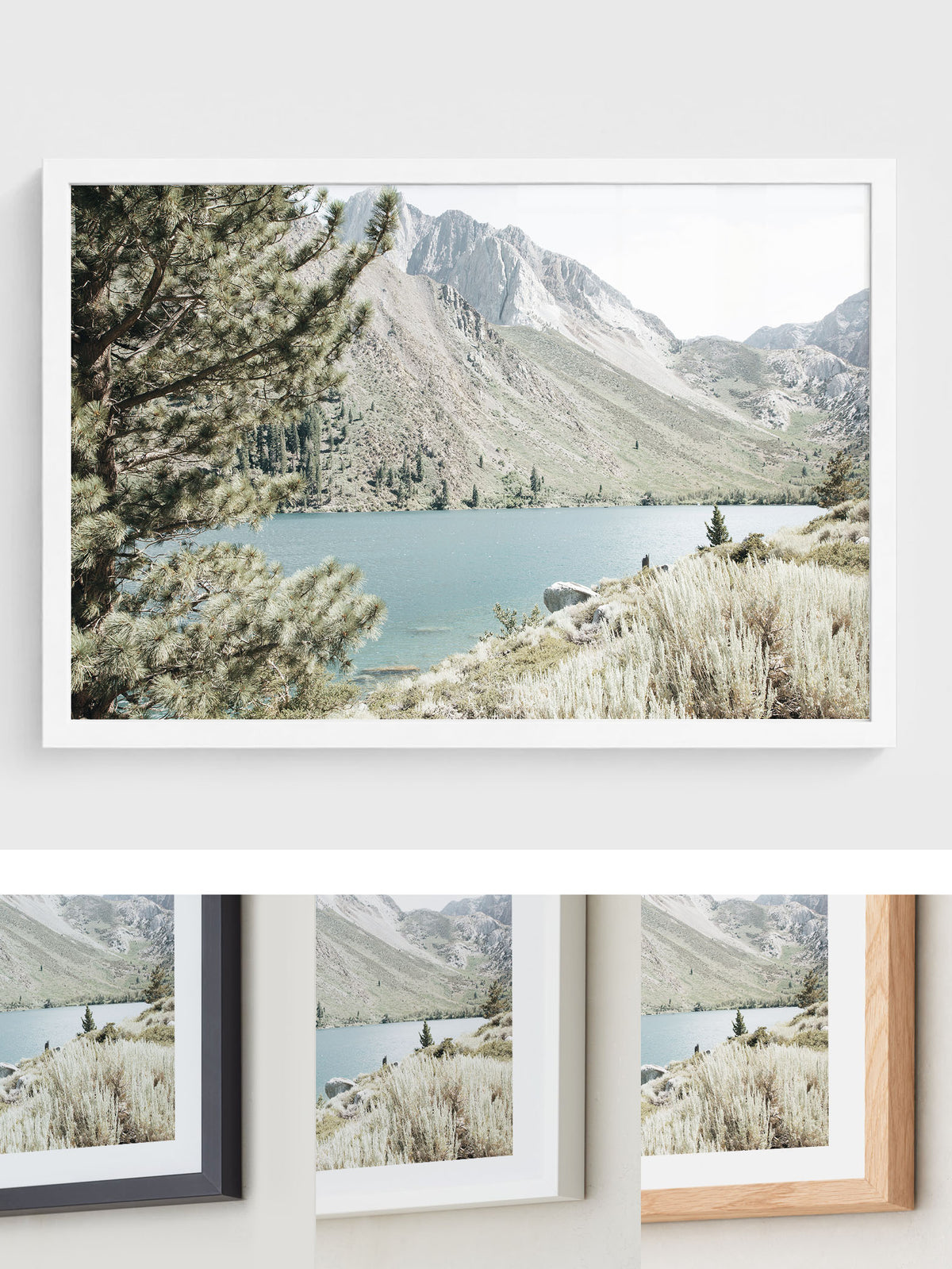 Alpine Haven