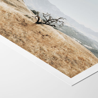Golden Terrain