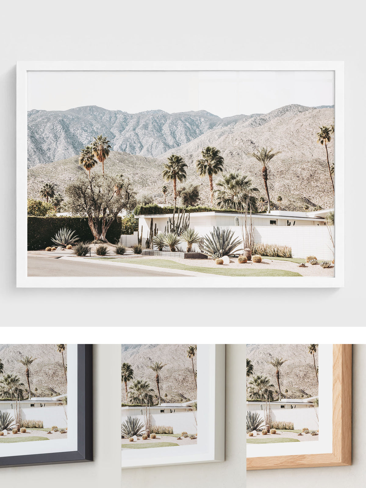 Mountain Modern