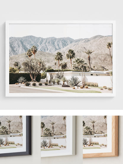 Mountain Modern
