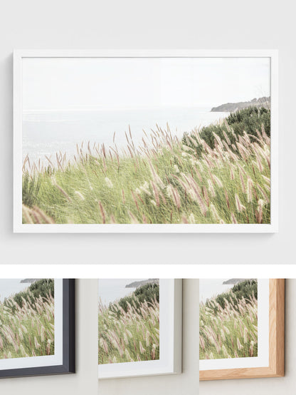 Ocean Meadow