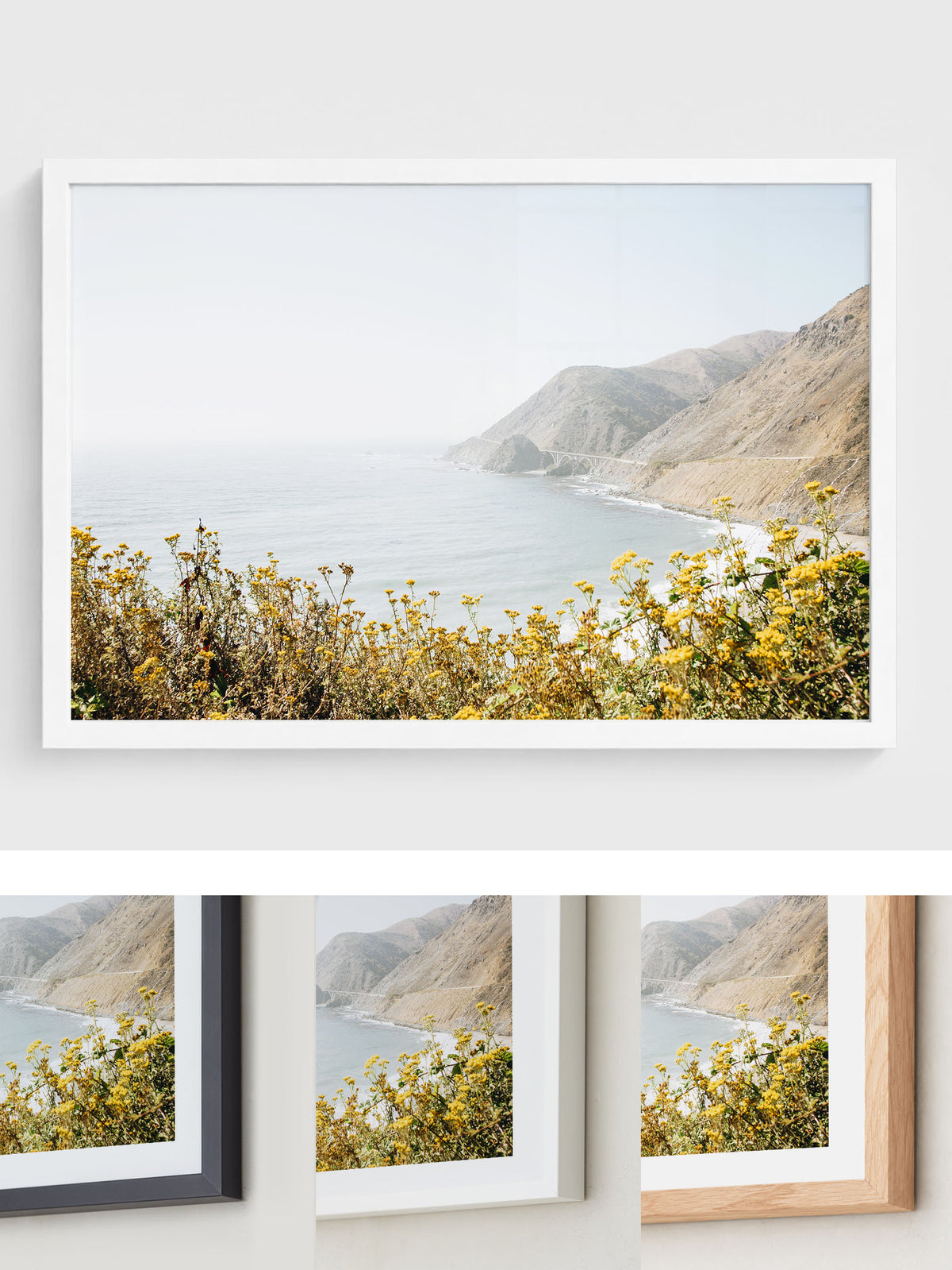 Pacific Overlook