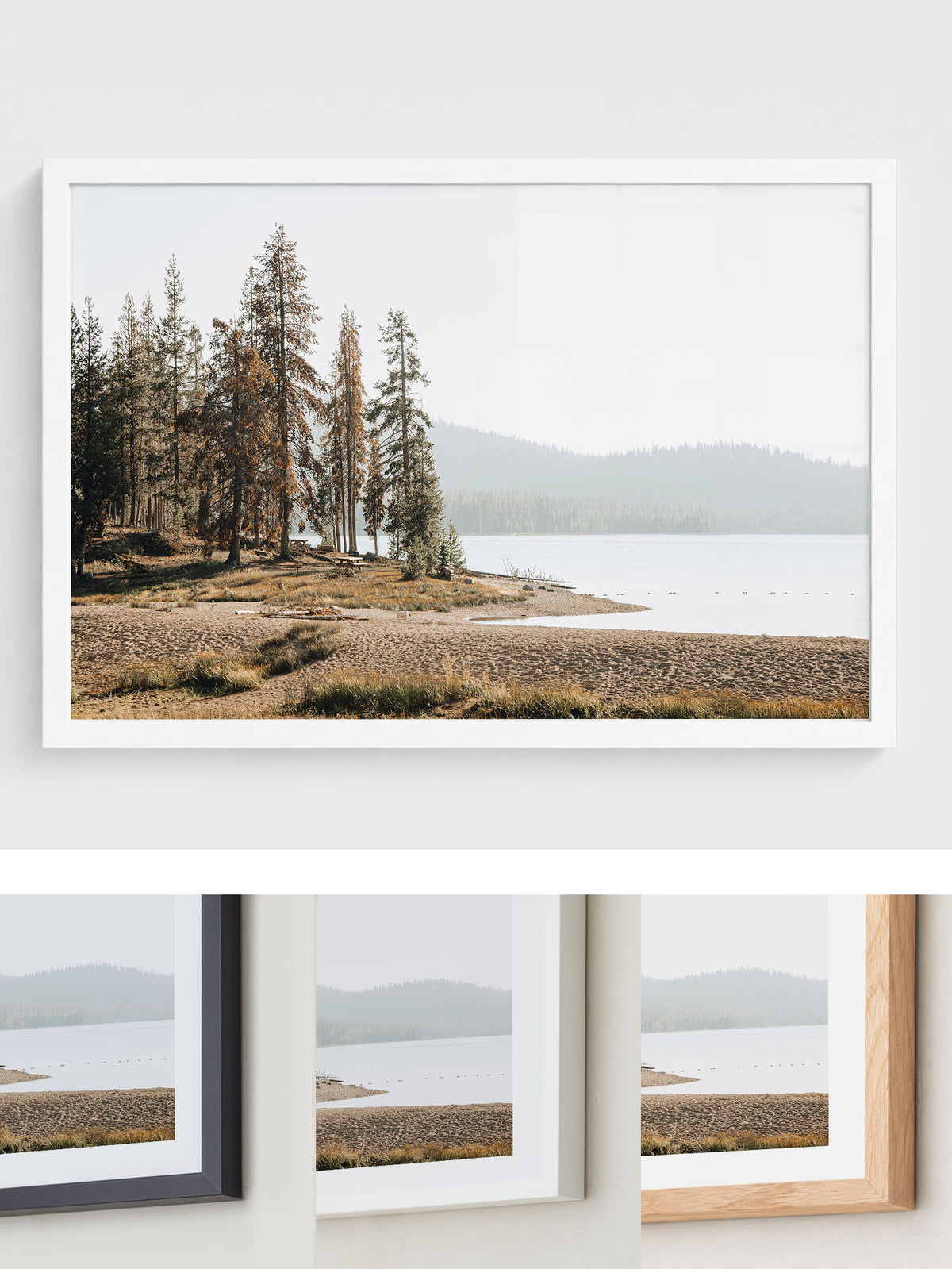 Pine Shore