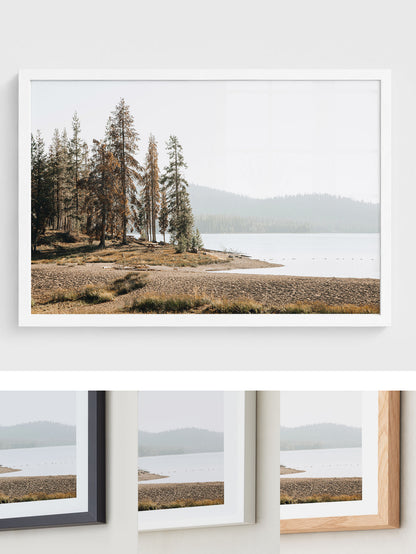 Pine Shore