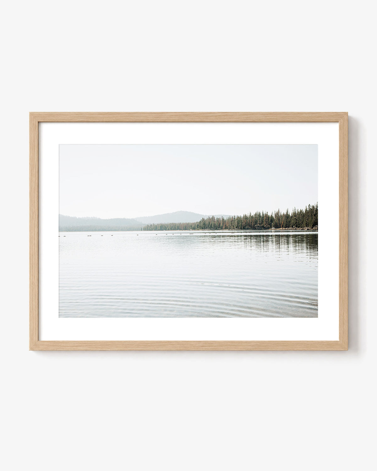Across Quiet Water