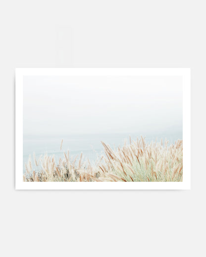 Coastal Grass - Neutral Photography Wall Art