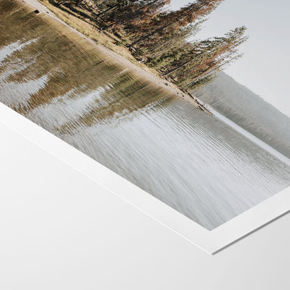 Reflected Trees