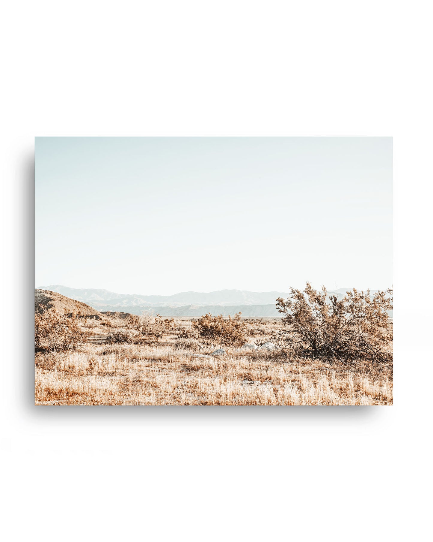Anza Borrego Desert