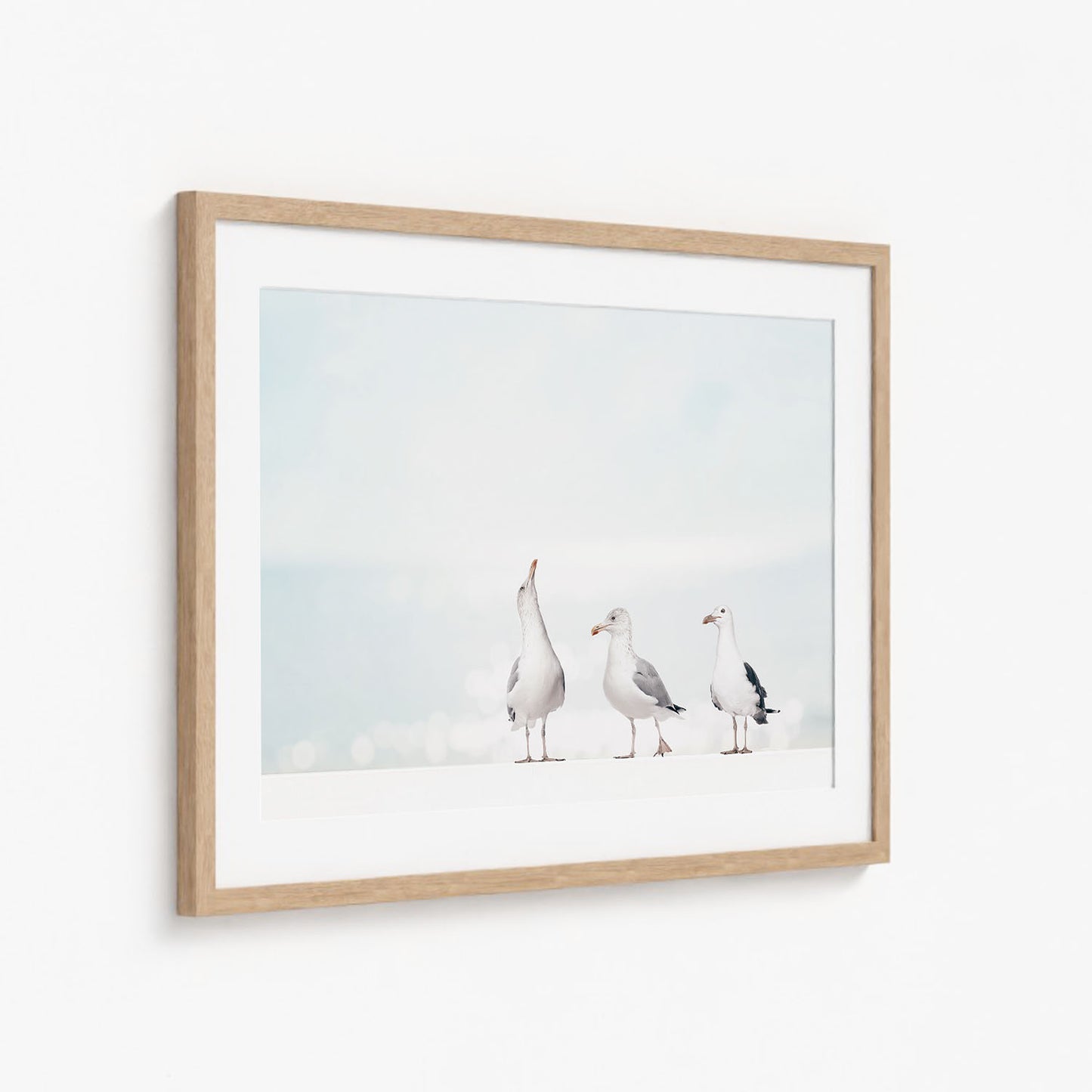 SEAGULLS