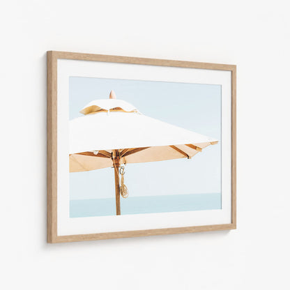 SUMMER SHADE