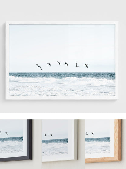 Ocean Crossing