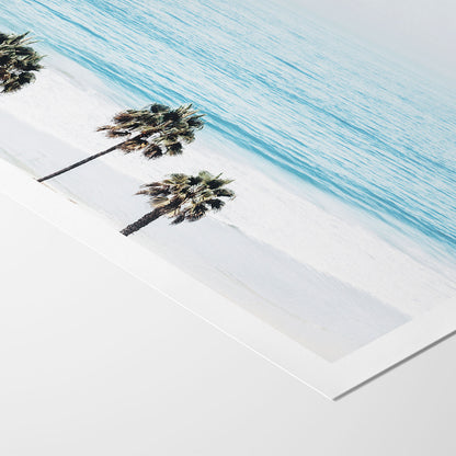 Pacific Palms