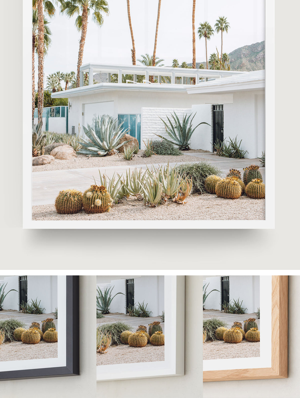 Palm Springs Living