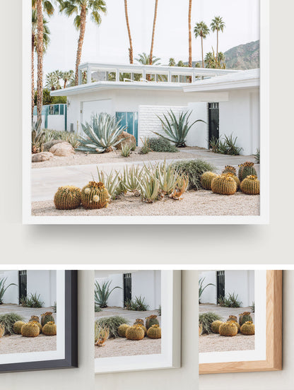 Palm Springs Living