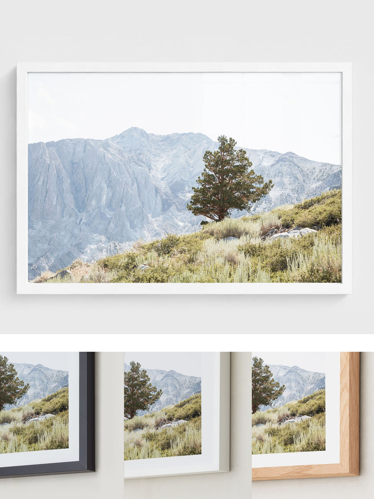 Sierra Tree