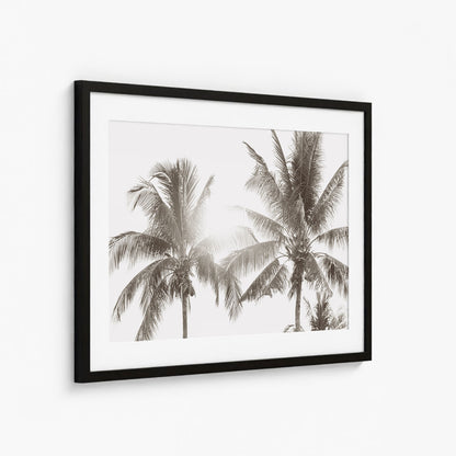 HAWAIIAN PALMS