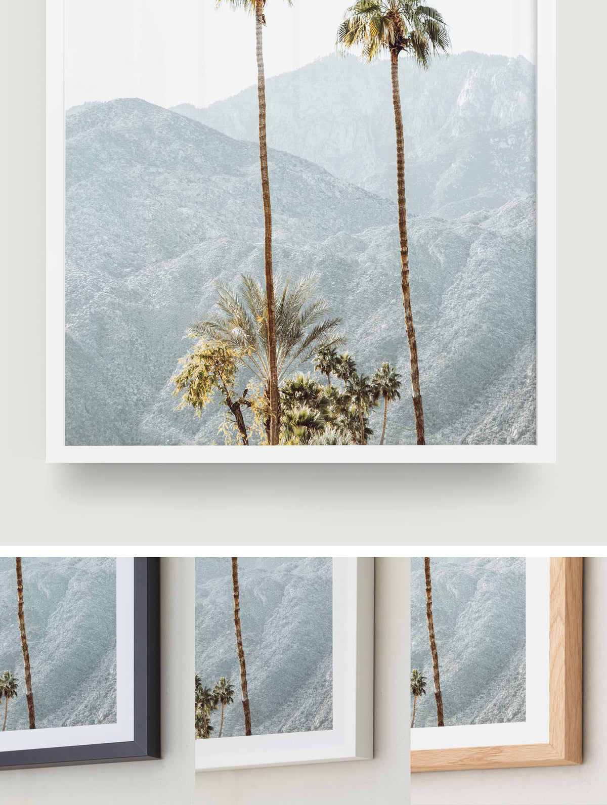 Two Desert Palms