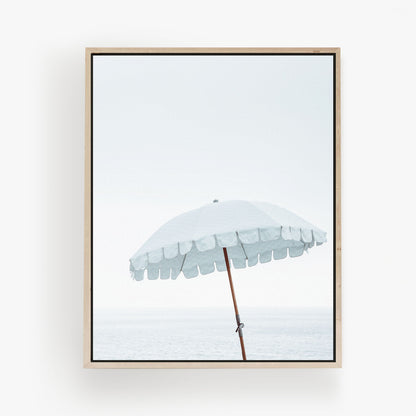 Coastal Shade