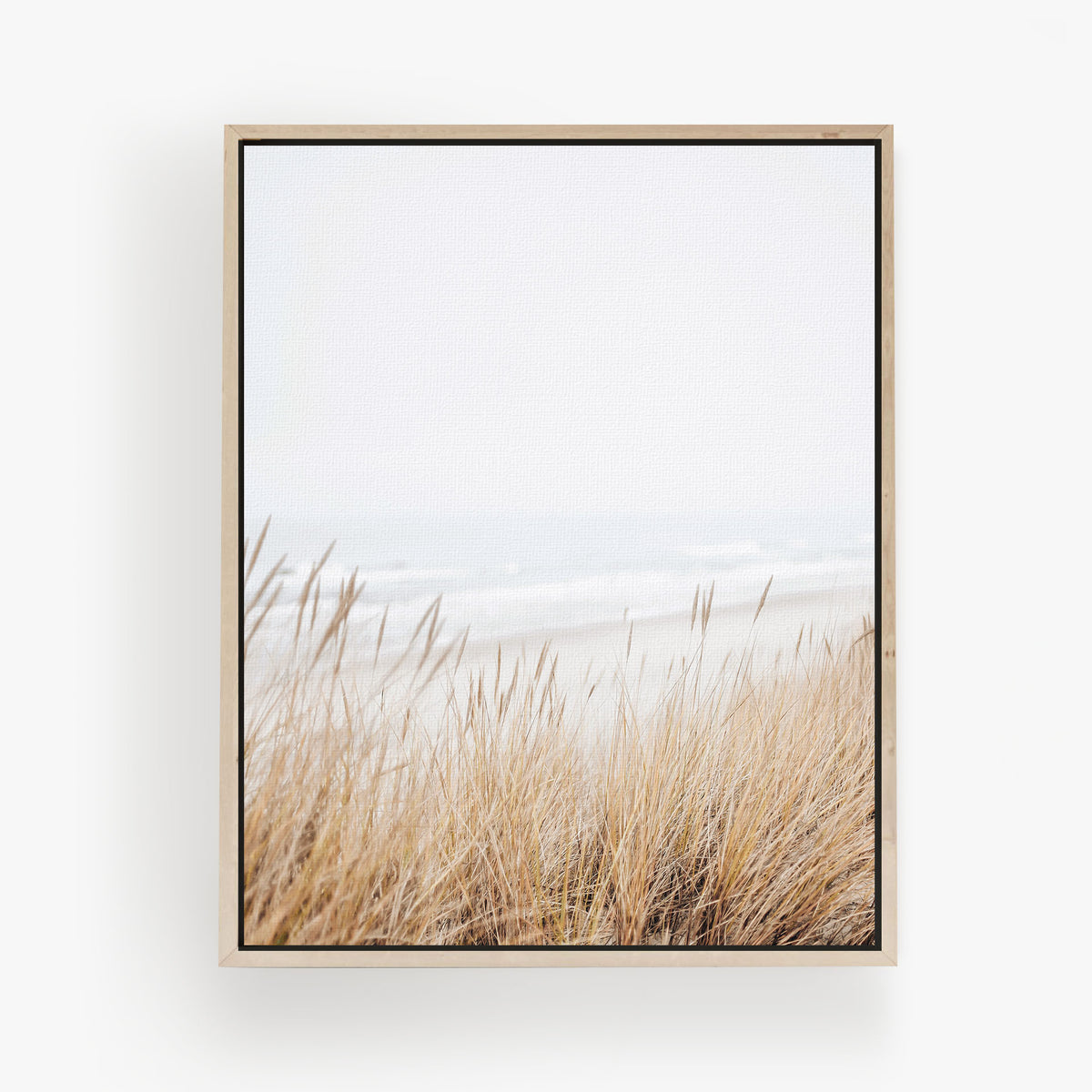 Grass by Sea
