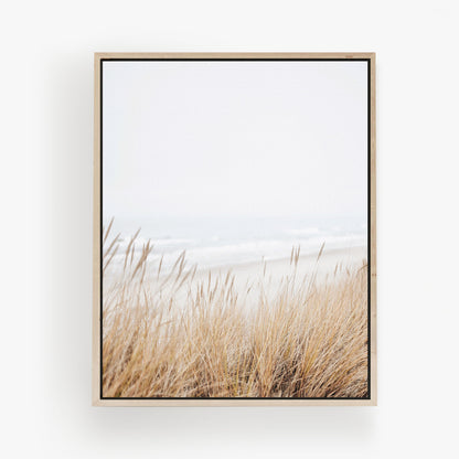 Grass by Sea