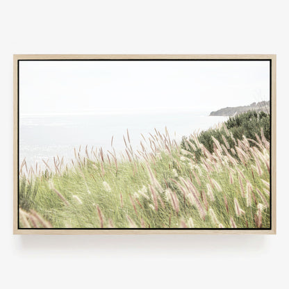 Ocean Meadow
