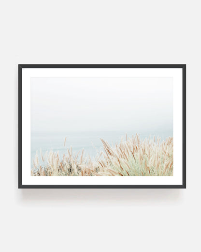 Coastal Grass - Neutral Photography Wall Art