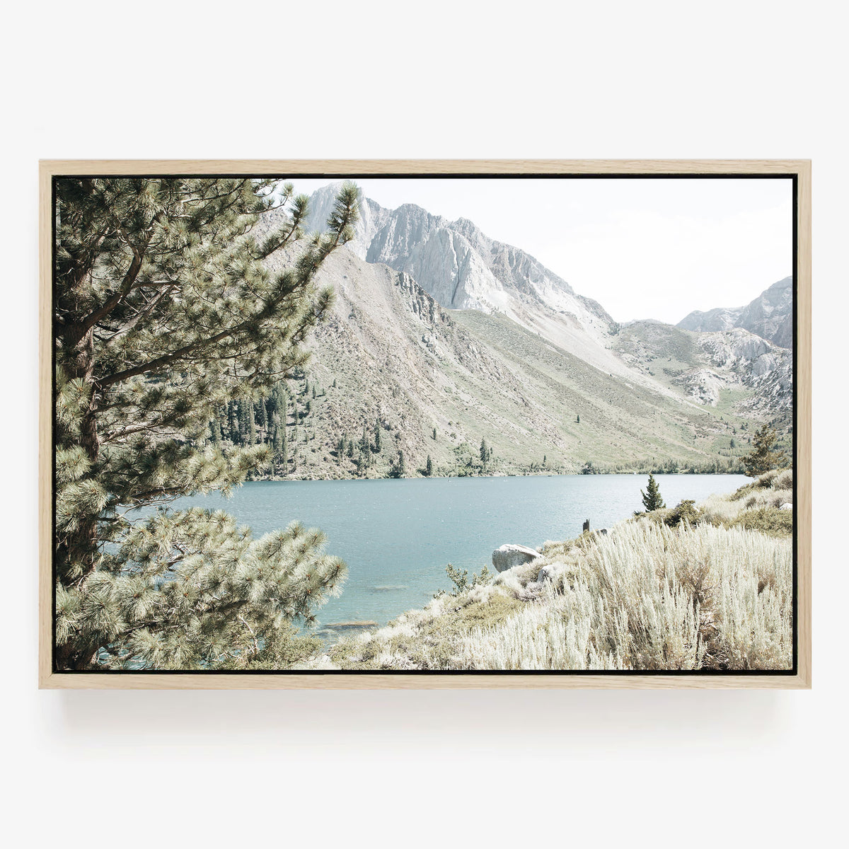 Alpine Haven