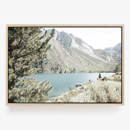 Alpine Haven