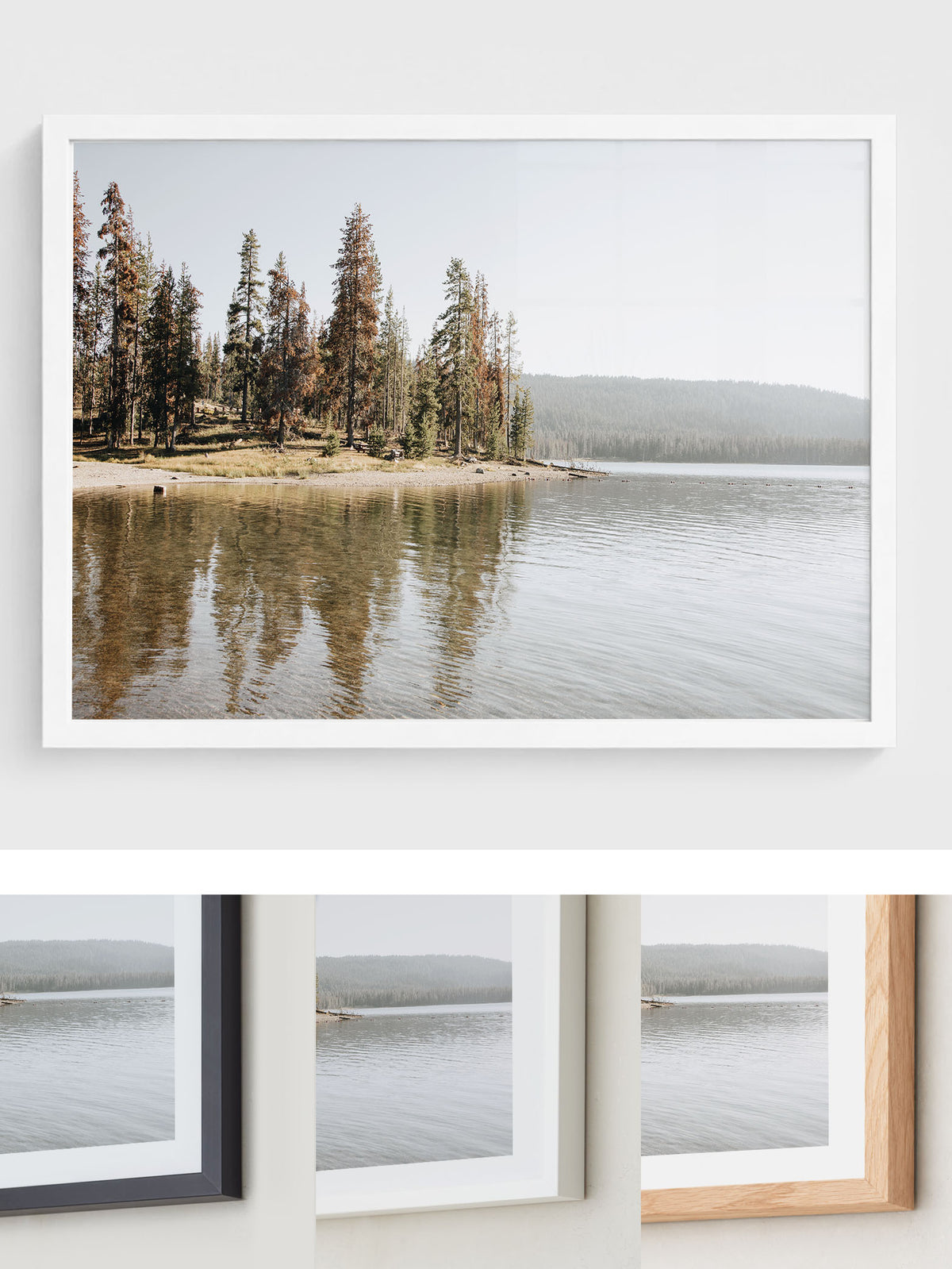 Reflected Trees