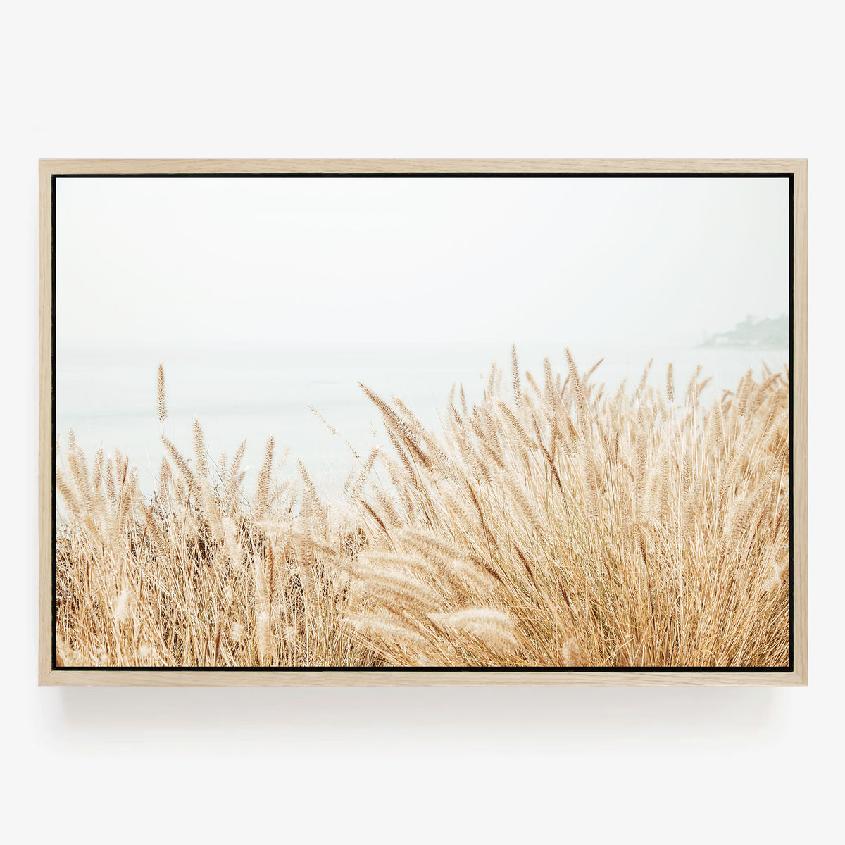 Along the Bluff