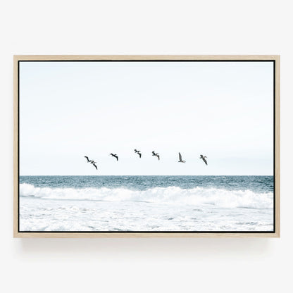 Ocean Crossing