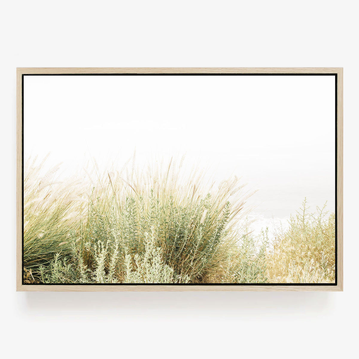 Wild Grasses