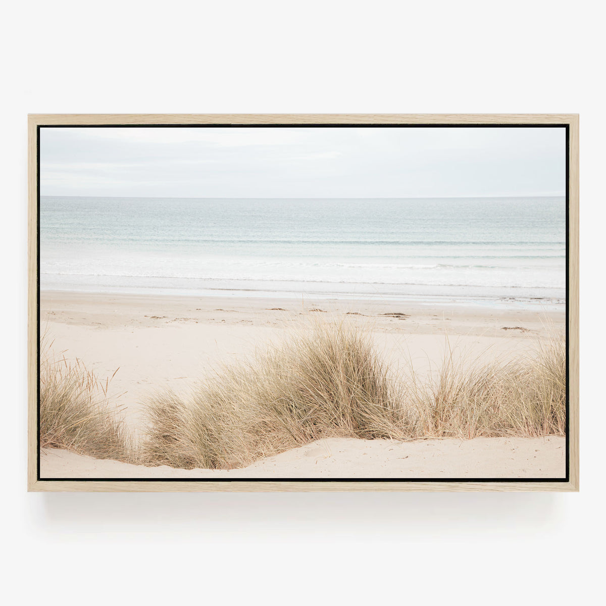 Coastal Dune Grass