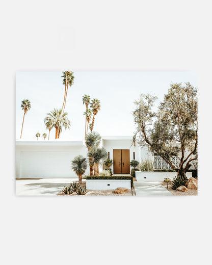 BROWN DOOR