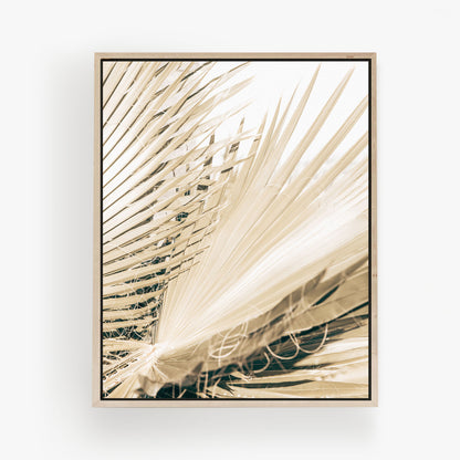 Fronds