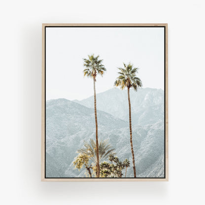 Two Desert Palms