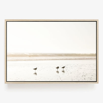 Birds at Low Tide
